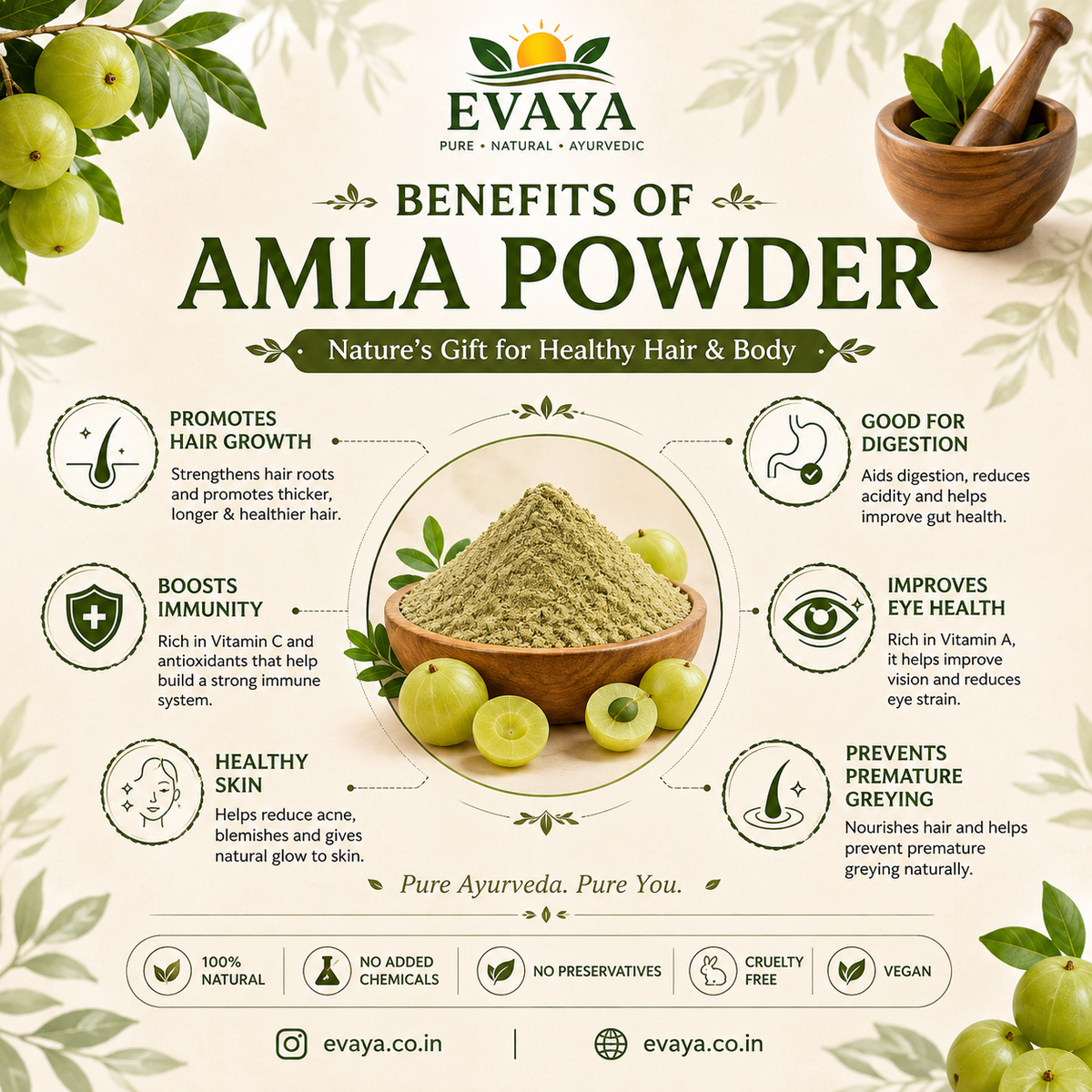 EVAYA Amla Powder(350gm)