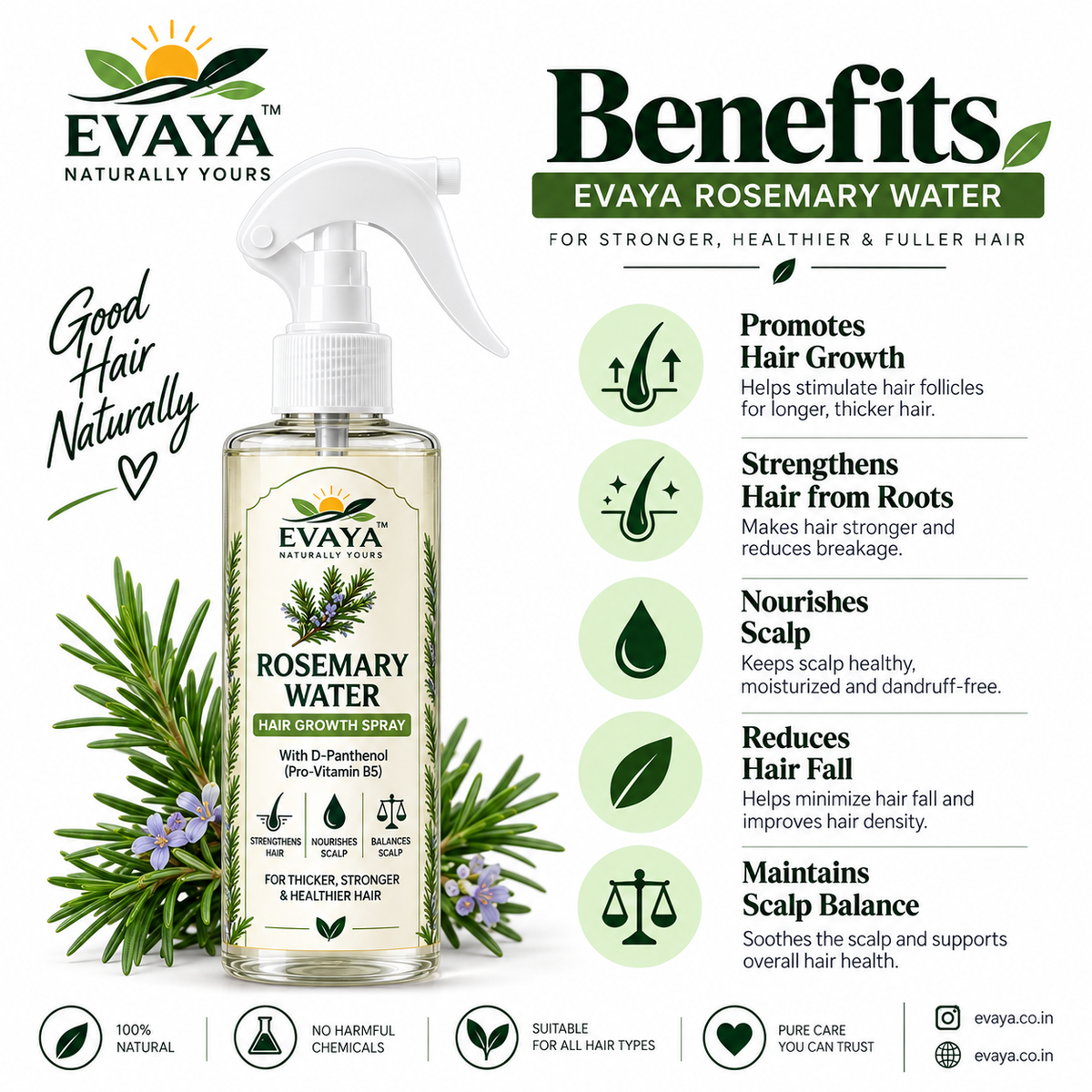 Evaya Rosemary Hair Growth Spray for Fuller, Thicker Hair | Advanced Hair Styler (250 ml)