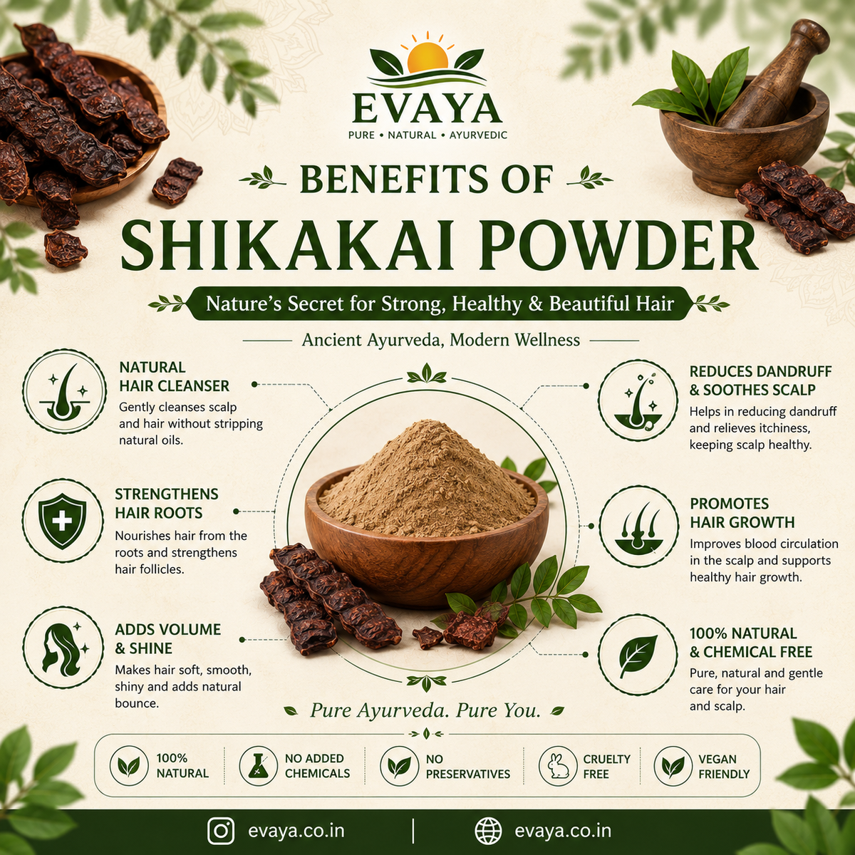 Evaya Pure Organic Shikakai Powder – Chemical Free Natural Hair Cleanser
